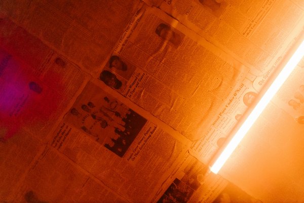 Designing a Safe and Exciting Habitat for Your Small Rodent Friends: Tips and Ideas